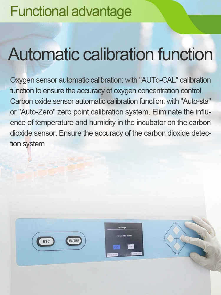 CO2 Incubator Biology Laboratory Equipment Cell Culture Incuabtor CO2 Incubator