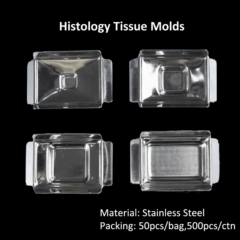 Laboratory Stainless Steel Reusable 37*24*6mm Pathology Histology Tissue Embedding Cassette Molds