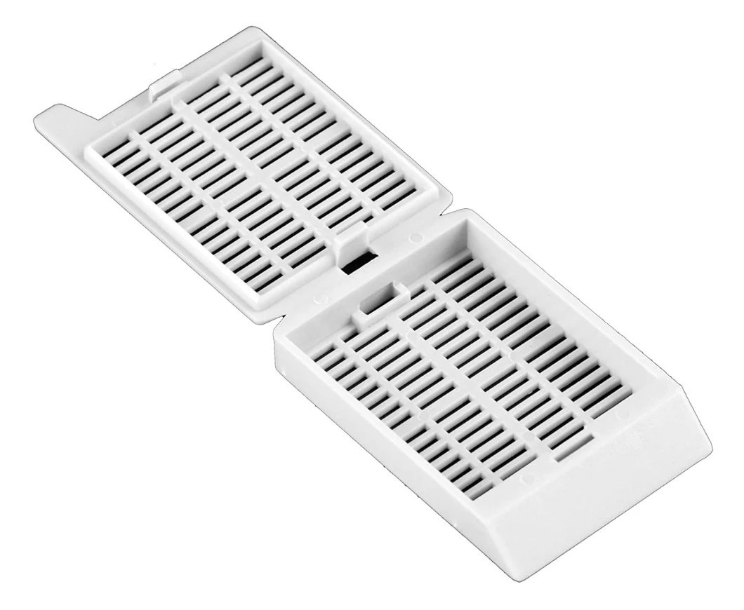 Laboratory Plastic Standard for Histology Biopsy Processing Round or Strip Hole Tissue Embedding Cassette