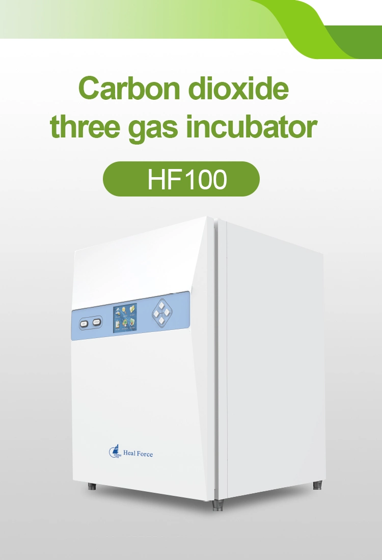 Heal Force Lab Cell Culture CO2 Incubator 150L Biology for Laboratory Equipment CO2 Incubator