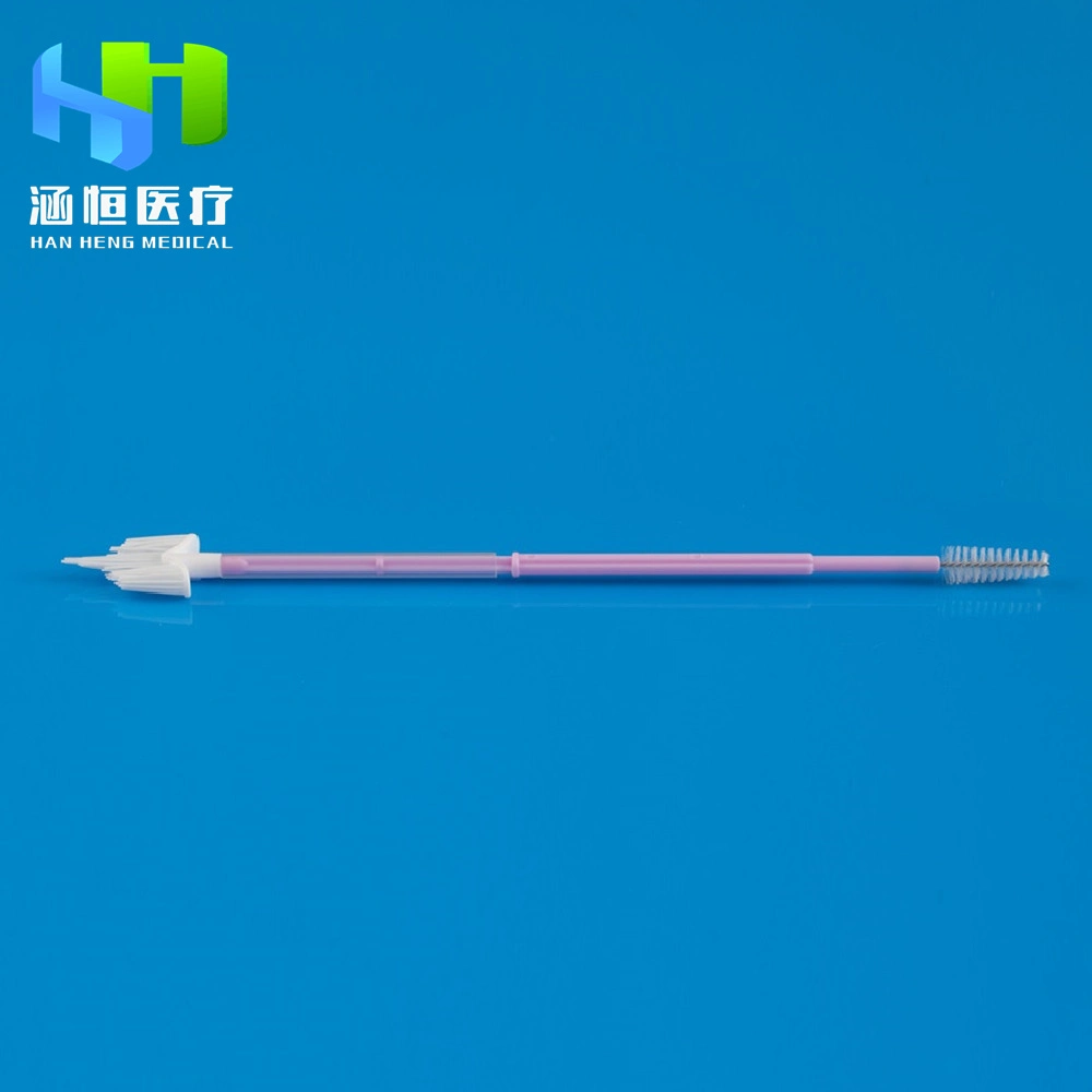 Tct Hpv Test Sampling Brushes with CE FDA Female Sterile Nylon Cervix Brush Cytology Gynecological Endocervical Smear Examination Brush